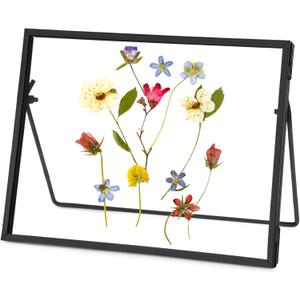 Glass Pressed Flower Frame Handmade, Glass Floating Picture Frames Tabletop Brass Photo Frame for DIY Dried Flowers Home Plant Specimen, Rectangle Horizontal 57 inches,Black (FRAME ONLY) (7L" x 5W")