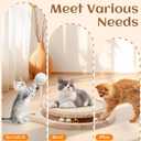 Natural Sisal Cat Scratcher, Round Cat Toys for Indoor Cats Interactive Toys with Ball Track Spring Ball, Kitten Toys for Chasing Hunting Mental Physical Exercise Puzzle
