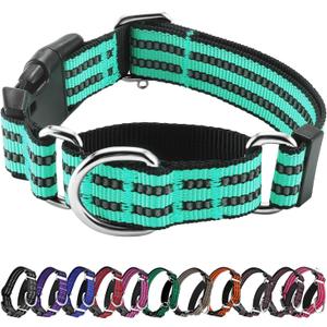 Hikiko Martingale Dog Collars Reflective Nylon Dog Collar with Quick Release Buckle Adjustable Training No Slip Dog Collar (Small, Turquoise)