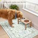 RELEANY Washable Area Rug, Large 10'x12', Green/White/Blue