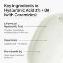 2 x The Ordinary Hyaluronic Acid 2% + B5 (with Ceramides), Multi-Depth Hydration Serum for Plumper, Smoother Skin