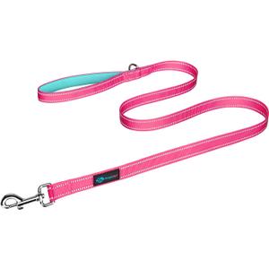 PHOEPET 5 Feet Dog Leash with Comfortable Padded Handle Easy Snap Clasp - Reflective Walking Lead for Large, Medium & Small Breed Dogs (Pink + Mint Green Base) (L(Width: 1"))