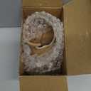 Funny butt Coffee Mug- Handcraft Women Body Butt Porcelain Coffee Mug for Travel, Funny Novelty Gift. Booty coffee mug Personalized Gifts For Your Friends, Family, and Colleagues. (Brown, Large) (16 Ounces)