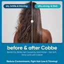 Cobbe Filtered Shower Head with Handheld, High Pressure 6 Spray Mode Showerhead with Filters, Water Softener Filters Beads for Hard Water - Remove Chlorine - Reduces Dry Itchy Skin, Brushed Nickel