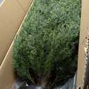 4ft Artificial Cedar Trees Artificial Topiary Trees Set of 2 Faux Cypress Plants UV Resistant Potted Bushes Faux Shrubs for Outdoor Indoor Front Porch Garden