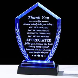 Thank You Gift for Women Men - You are Amazing Engraved Crystal Appreciation Plaque with Light Base for Teacher, Nurse, Coworker | Inspiration Uplifting Make a Difference Encouragement Keepsake