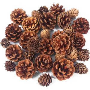 JOHOUSE 30PCS Christmas Pine Cones, Natural Pinecones for Crafts Assortment Rustic Pine Cones for Decorating Christmas Winter Holidays Table Bowl Fillers, Winter Vase Filler