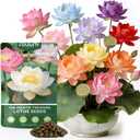 60 PCS Lotus Seeds for Planting in Water - Mixed Color Bowl Lotus Seeds, Aquatic Plant Water Lily Seeds for Indoor Bonsai, Outdoor Ponds & Garden, Unique Gift for Mother, Women, Mom, Friend, Her