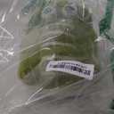 TAGLN Stuffed Animals Alligator Toys Pillows The Crocodile Plush Green 20 Inch