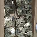 Grip Rite GRCR4DGAL 1-1/2" by 15 Galvanized Coil Roofing Nail (7, 200per Box)