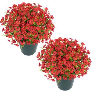 Velener Artificial Flowers for Outdoors- 20” Potted Plant Fake Silk Daisy Bush-UV Resistant Artificial Outdoor Plant for Front Porch, Garden, Yard, Patio Decor (Red)