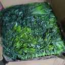 20"x20"(24P), UV Resistant Artificial Grass Wall Boxwood Plant Panel