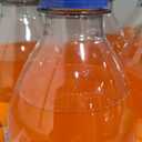 Fanta Orange, 16.9 Fl Oz, Pack of 6