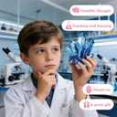 Valentine's Day Gifts Party Favor 24 Pack Science Experiment Kit Planting Crystal with Cards for Kids School Gifts Exchange Classroom Stuffers for Boys and Girls