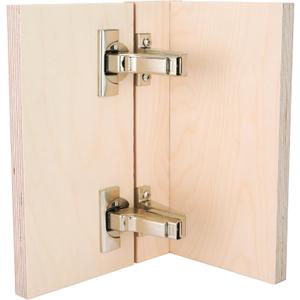 Blum Clip Top 110 Degree Face Frame, Inset Hinge with BLUMOTION (Set of 2)