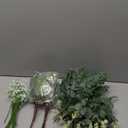 100 Pcs 4 Kinds Artificial Eucalyptus Stems, Mixed Faux Greenery Stems Fake Silver Dollar Eucalyptus Leaves Stems Bulk Babys Breath for DIY Bouquet Centerpieces