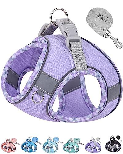 Petank Dog Harness for  Dogs No Pull, Puppy Harness and Leash Set, Step in Dog Harness for Walking, Running, Training, Small Dog Vest(Purple, S)