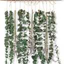 Bathroom Decor Real Eucalyptus for Shower and Lavender Fresh Eucalyptus Stems Wall Hanging Decor Fragrance Greenery Wall Hanging for Wedding Decor,Bedroom,Living Room,Kitchen,Boho Home Decor