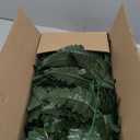 XONOR Artificial Silk Leaf Fern - Artificial Fern Leaves Stem Faux Greenery Plant for Cemetery Grave Headstone Wedding Home Garden Decoration (100Pcs, Dark Green)