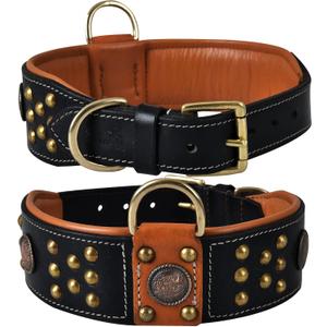 Premium Leather Cupola Series Collar for Large Dogs | Celtic Conchos & Gold Dome Rivets | 2 Inch Wide | Soft, Heavy Duty, Cushion Padding | (L (Neck Size 18.5"-22.5"), Sable Black)