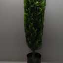Silk Dcor Cedar Topairy in Plastic Pot, 72-Inch, Green