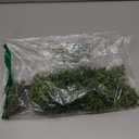 Supla 4 Pcs Artificial Hanging Succulents Faux Burro's Tail Picks Trailing String of Pearls Succulents Fake Greenery Sprays for Basket Planter Centerpiece Floral Arrangement Indoor Outdoor Decor