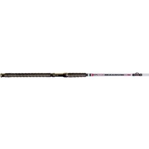 BnM Silver Cat Magnum 10 ft Casting Rod