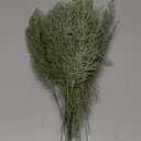 Alpurple 30 Pcs Christmas Snow Frosted Pine Branches- 13.5" Snowy Artificial Pine Needles Branches Twigs- Greenery Ceder Sprigs Pine Picks Stems for Christmas Wreath Home Garden Decoration