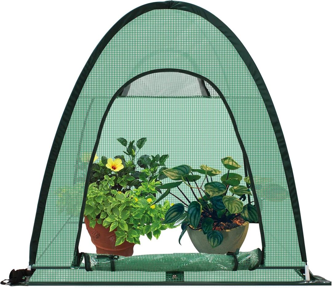 Upgraded Pop-Up Plant Greenhouse, Durable PE Cover, Portable Fast Set-up with Roll-Up Doors, Green (36"*36"*40")