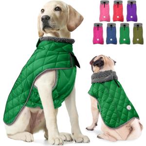 Fragralley Dog Winter Coat, Waterproof Windproof Reflective Fleece Jacket with Harness Hole, Warm Snow Vest for Medium, 20 Pound Dogs, Ideal Gifts (Green)