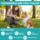 Flea and Tick Prevention for Dogs, 4 Pack Flea Collar for Dogs, Dog Flea and Tick Treatment, 32 Months Protection, Waterproof, Adjustable Collar for Dog, One Size Fits All for All Breeds, Grey