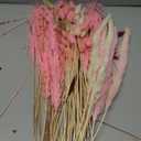 Pampas Grass Decor-10Pcs White/Pink Pampas Grass,  Grass Flower for Fall Home Wedding Table Vase Boho Decor