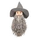 QACCF Qacf Long Curly Mens Wizard Mustache Wig Halloween Costume Cosplay Viking Fake Beard Wig (Grey)