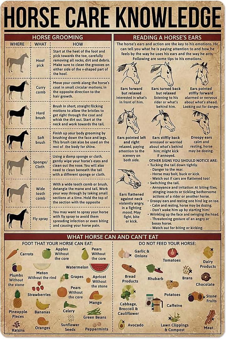 Horse Knowledge Metal Tin Sign Horse Care Vintage Funny Poster Club Living Room Kitchen Farm Home Art Wall Decoration Plaque