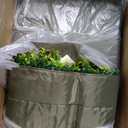 Artificial Flower Wall 8x8ft Green Grass Backdrop for Wedding, Baby Shower, Party, Birthday & Home Decor, Easy & Quick Assembly (Greenery)