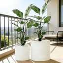 GreenShip Planter Set of 2 (13.8" & 11.8") – Cylinder Planters with Drainage Hole and Planter Saucer, Jun Porcelain Clay & Recycled Resin, Decorate Home,Office & Outdoor,White pots, 13.7in+11.8in