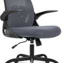 Primy Office Chair Ergonomic Desk Chair with Adjustable Lumbar Support and Height, Swivel Breathable Desk Mesh Computer Chair with Flip up Armrests for Conference Room, Dark Gray