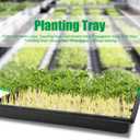 RooTrimmer 20 Pack 1020 Trays, No Drain Holes, 20" x 10", Extra Thick Heavy Duty Seed Starting Trays -Reusable Propagation Flats for Microgreens, Seedlings, Plant Germination, Fodder and Transplant