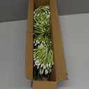 Faux Outdoor Flowers Realistic Artificial Plants 8 Bundles Plastic Flower Outside 18.9 in Fake Greenery Stems Green Flower for Pot Planter Decor Outside
