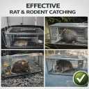 Humane Rat Trap Cage Live Catch & Release Mouse Trap for Indoor Home, Small Animal Cage for Chipmunk, Squirrel & Rodent, Easy Set High-Sensitive Trigger, 10.5
