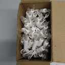 HISHINY Christmas Lights 100 Count Mini Clear Lights 21ft White Wire Christmas Tree String Lights Set for Outdoor Indoor Christmas Decorations Wedding Valentines Day Decor,UL Certified (21feet)