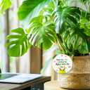 5 x Inspirational Christmas Hanging Ornaments 2025, for Coworkers Christmas,Happy Holidays We Appreciate You Ceramic Hanging Ornament with Golden Ribbon for Xmas Tree Decor