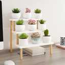 Windowsill Plant Stand Shelf 3 Tiers Desktop Organization and Storage Shelf Bathroom Countertop Corner Cupcake Display Stand for Table Wood Ladder,White