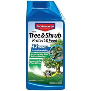 BioAdvanced 12 Month Tree and Shrub Protect and Feed, Concentrate, 32 Oz, Insect Killer and Fertilizer & Plant Food