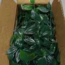 BLEUM CADE Fake Hanging Plants, 2pcs Artificial Hanging Potted Plant, Faux Mandala Vines Hanging Plant Greenery for Wall Shelf Home Living Room Indoor Outdoor Decor