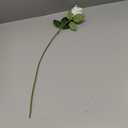 FOTEEWL 60 Pcs Artificial Rose Flower Realistic Faux Silk Roses Stem Fake Roses Bouquet for Flower Arrangement,Wedding Centerpieces,Party,Home Decorations (White)