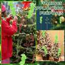 24 Pcs Christmas Tree Picks Set Furry Lime Green Curly Picks Stems Red Green Artificial Glitter Curly Berry Candy Sprays Ornaments Stems for Xmas Tree Topper Home Vase Fillers Decorations