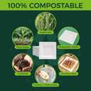 White 8-Inch Square Disposable Plates [125-Pack] - Compostable Heavy Duty Sugarcane Plates, Biodegradable Eco-Friendly Dinner Plates for Party