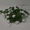 Ouddy Decor 50 Pcs Artificial White Roses Bulk Realistic Silk Roses with Long Stems Fake Roses Flowers for Wedding Bridal Bouquet DIY Table Centerpieces Arrangement Valentines Day Home Decor, White