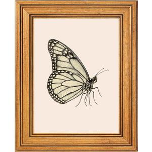 Netrorin Vintage Gold Framed Wall Art for Living Room, Butterfly Canvas Wall Print for Bedroom, Animal Painting Home Decor, Shelf Decor for Kitchen, Wall Decor Gifts For Friends or Family -【Butterfly】-(10L x 8W)